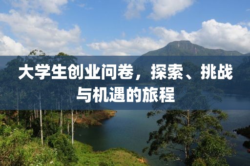 大学生创业问卷，探索、挑战与机遇的旅程