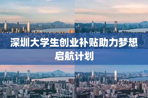 深圳大学生创业补贴助力梦想启航计划