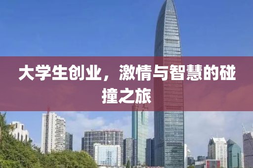 大学生创业，激情与智慧的碰撞之旅