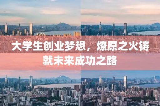 大学生创业梦想，燎原之火铸就未来成功之路