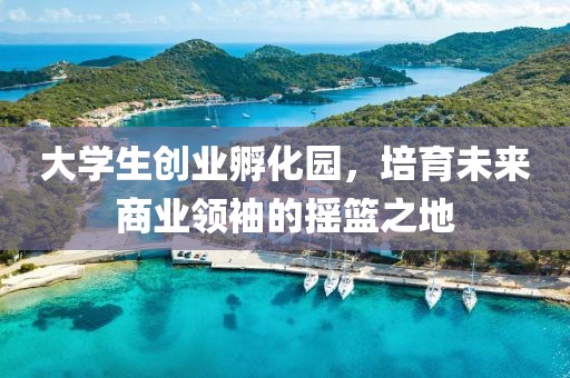 大学生创业孵化园，培育未来商业领袖的摇篮之地