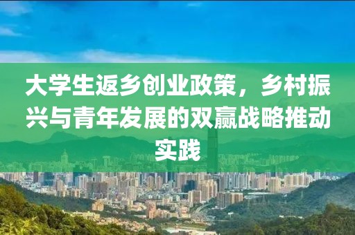 大学生返乡创业政策，乡村振兴与青年发展的双赢战略推动实践