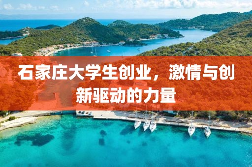 石家庄大学生创业，激情与创新驱动的力量