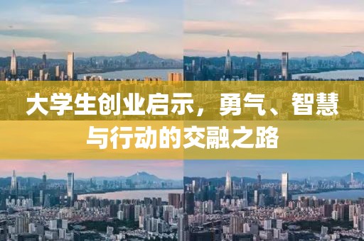 大学生创业启示，勇气、智慧与行动的交融之路