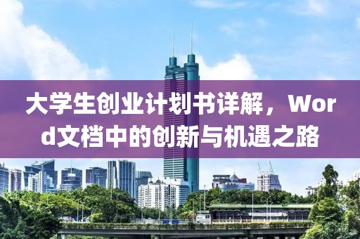 大学生创业计划书详解，Word文档中的创新与机遇之路