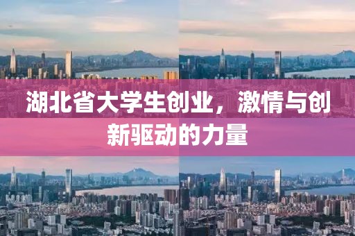 湖北省大学生创业，激情与创新驱动的力量