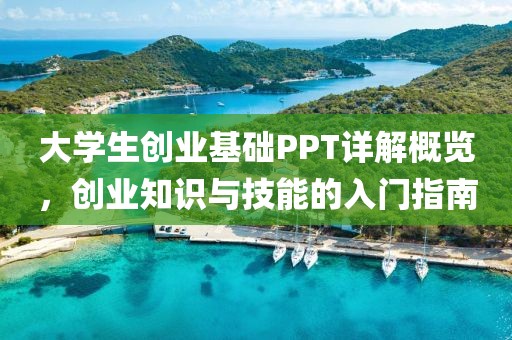 大学生创业基础PPT详解概览，创业知识与技能的入门指南