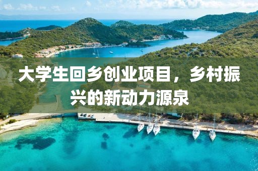 大学生回乡创业项目，乡村振兴的新动力源泉