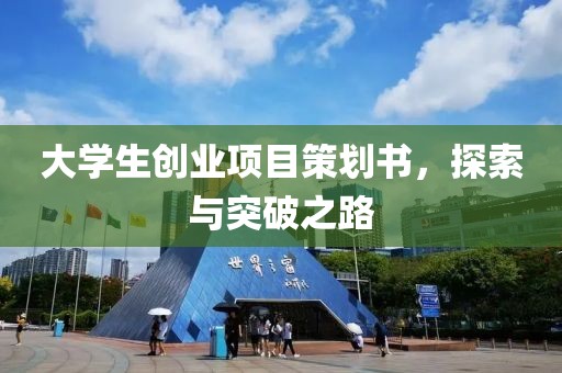 大学生创业项目策划书，探索与突破之路