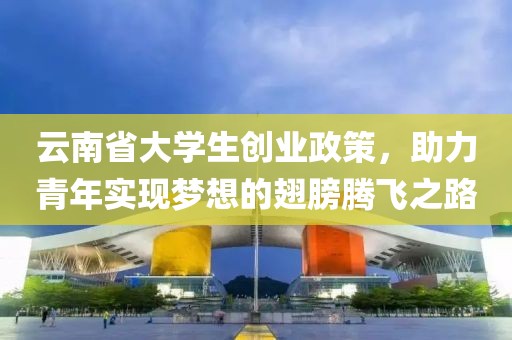 云南省大学生创业政策，助力青年实现梦想的翅膀腾飞之路