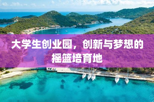 大学生创业园，创新与梦想的摇篮培育地