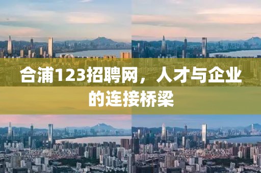 合浦123招聘网，人才与企业的连接桥梁