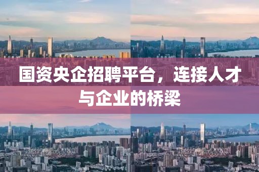 国资央企招聘平台，连接人才与企业的桥梁