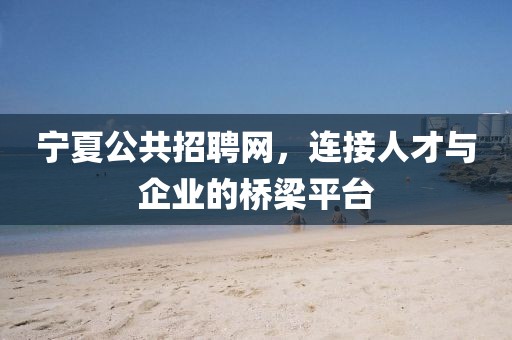 宁夏公共招聘网，连接人才与企业的桥梁平台