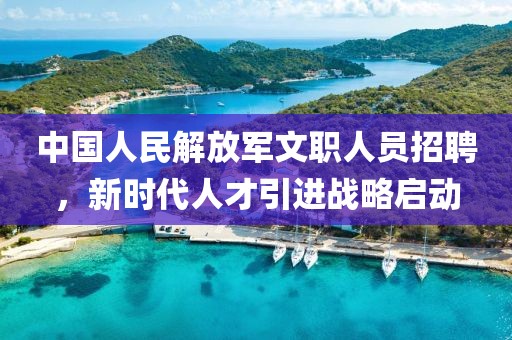 中国人民解放军文职人员招聘，新时代人才引进战略启动