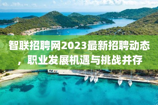 智联招聘网2023最新招聘动态，职业发展机遇与挑战并存