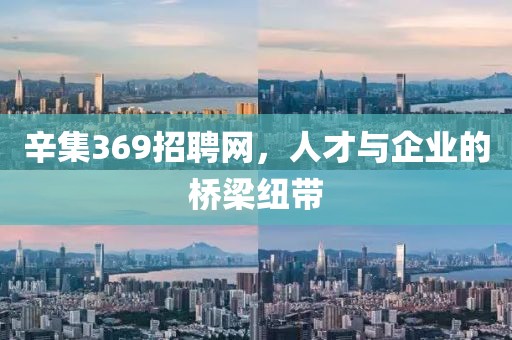 辛集369招聘网，人才与企业的桥梁纽带