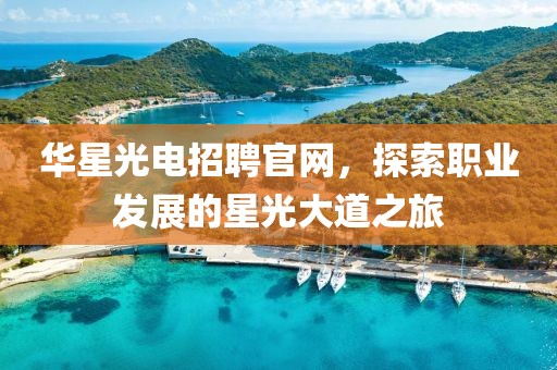 华星光电招聘官网，探索职业发展的星光大道之旅