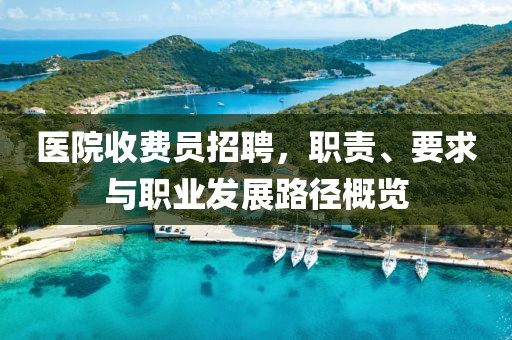 医院收费员招聘，职责、要求与职业发展路径概览