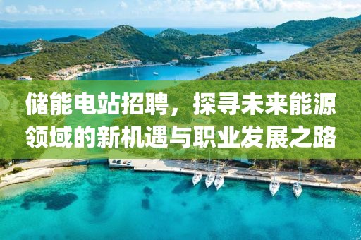 储能电站招聘，探寻未来能源领域的新机遇与职业发展之路