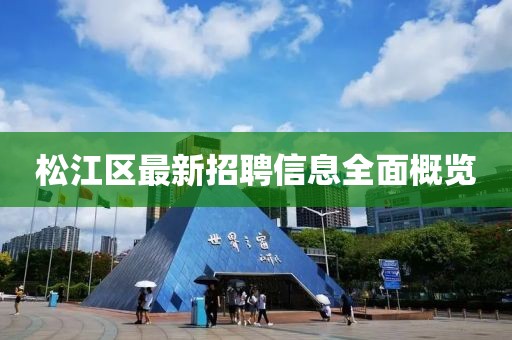 松江区最新招聘信息全面概览