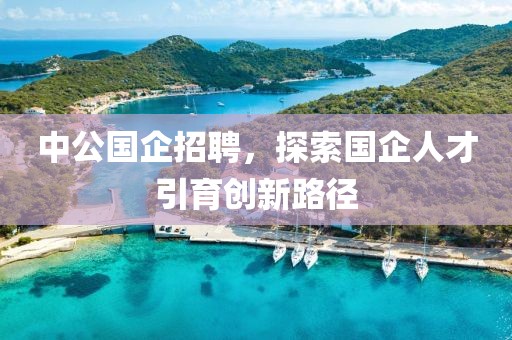 中公国企招聘，探索国企人才引育创新路径