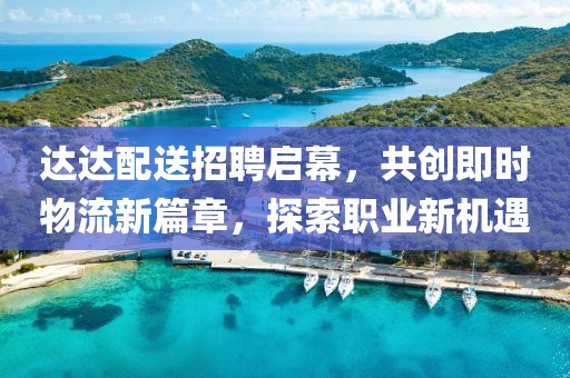 达达配送招聘启幕，共创即时物流新篇章，探索职业新机遇