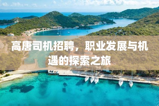 高唐司机招聘，职业发展与机遇的探索之旅