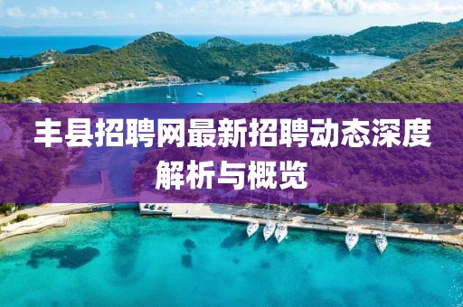 丰县招聘网最新招聘动态深度解析与概览