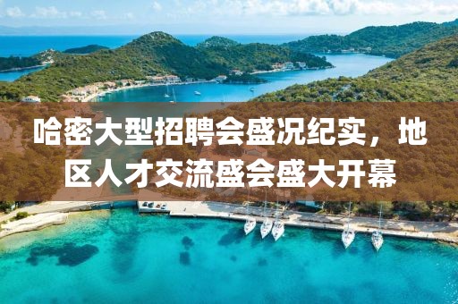 哈密大型招聘会盛况纪实，地区人才交流盛会盛大开幕