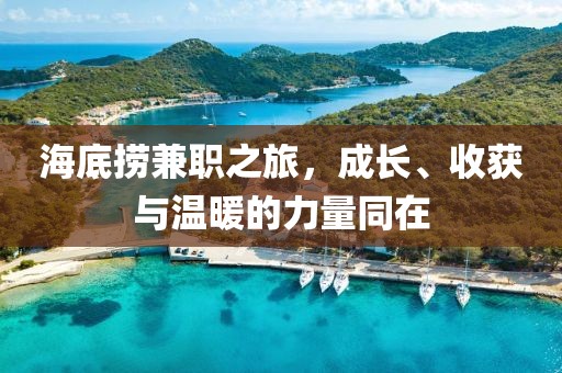 海底捞兼职之旅，成长、收获与温暖的力量同在