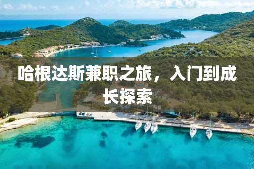 哈根达斯兼职之旅，入门到成长探索