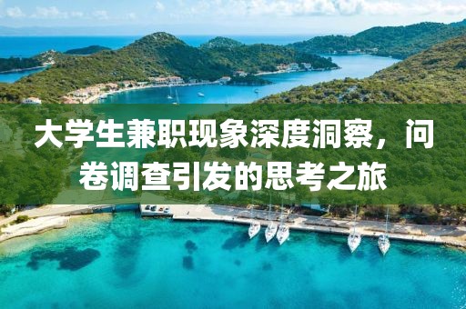 大学生兼职现象深度洞察，问卷调查引发的思考之旅