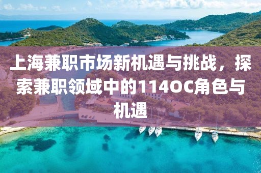 上海兼职市场新机遇与挑战，探索兼职领域中的114OC角色与机遇